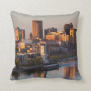 Buscar minnesota cojines Medio oeste