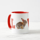 Buscar conejo de rabo blanco tazas Conejito