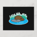 Buscar platypus postales Adorable