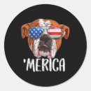 Buscar bulldog americano pegatinas Bulldog en inglés