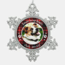 Buscar nieve mascotas Refunfuñar