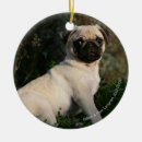 Buscar barro amasado adornos Fregonas