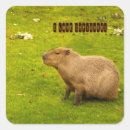 Buscar capybara pegatinas Animal