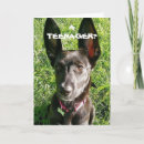 Buscar diversi tarjetas Perro