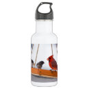Buscar escarlata agua botellas Naturaleza