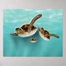 Buscar vida verde posters Tortuga de mar verde