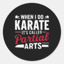 Buscar amantes del karate pegatinas Luchador de karate