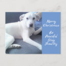 Buscar navidad labrador postales Navidades
