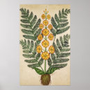 Buscar fleurs posters Planta