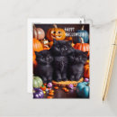 Buscar gatos negros postales Gatos de halloween