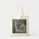Buscar perrito de lobo Lobos