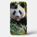 Buscar fauna fundas Bambú