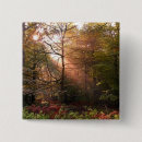 Buscar bosques chapas Vegetación