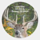 Buscar caza de los ciervos pegatinas General y unisex