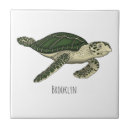Buscar tortuga azulejos Verde