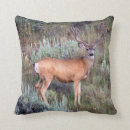 Buscar trofeo cojines Ciervos