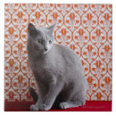 Buscar papel pintado azulejos Rojo
