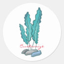 Buscar algas marinas pegatinas Kelp