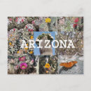 Buscar arizona postales Saguaro
