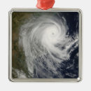 Buscar mozambique adornos Avio