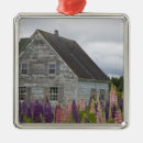 Buscar príncipes adornos Naturaleza