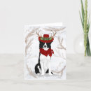 Buscar minos tarjetas General y unisex
