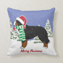 Buscar perros de montaña bernese cojines Bernés