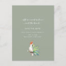 Buscar loros Boda
