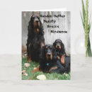 Buscar setter tarjetas Animal