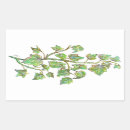 Buscar ivy pegatinas Vegetación