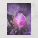 Buscar textura floral postales Rosas