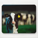 Buscar vaca holstein alfombrillas de raton Agricultura