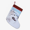 Buscar siberiano calcetines navideños Husky