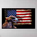 Buscar águila americana posters 6 º estadía