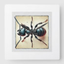 Buscar antique relojes de pared Nature