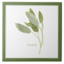 Buscar tomillo azulejos Verde