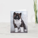 Buscar akita tarjetas Cachorro