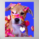 Buscar american staffordshire terrier arte Lindo