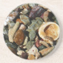 Buscar concha posavasos General y unisex