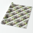 Buscar macho papel de regalo Toro