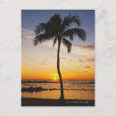 Buscar siluetas postales Tropical