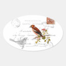 Buscar vogel Postkarte