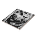 Buscar galletas azulejos Alimento