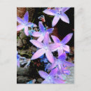 Buscar delicado las flores tarjetas de cumpleaños Flor silvestre