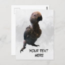 Buscar africanas postales General y unisex