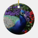 Buscar pavo real adornos Floral