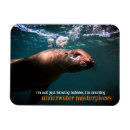 Buscar submarino imanes Cumpleaños