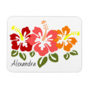 Buscar hibisco imanes Floral