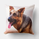 Buscar pinturas al óleo cojines General y unisex