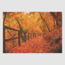Buscar otoño papel de seda Para ellos